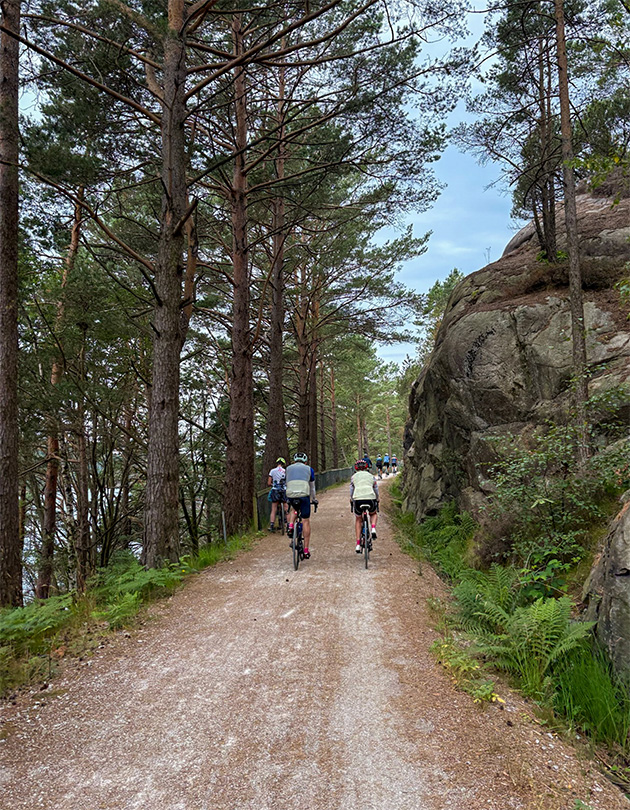 Syklister på en grusvei gjennom tett skog